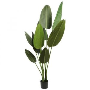 Plante artificielle - OHMG - Palmier bananier - Vert - Salon - Ext&eacute;rieur