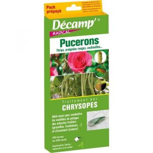 Traitement par Chrysopes - DECAMP - Pucerons - 250 larves ou 500 œufs