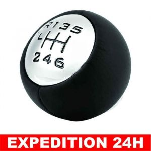Bouton de vitesse de voiture 6 vitesses tête de bouton de changement de vitesse pour 307 308 3008 407 5008 807 C3 C4 C8pommeau lev