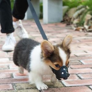 Taille S Anti-Aboiement Museli&egrave;re Cuir R&eacute;glable pour Chiens &eacute;corce contr&ocirc;le Museli&egrave;re Anti Morsure pour Petits Chien Noir MUSELIERE