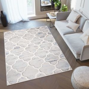 TAPISO Tapis Salon Poils Ras Valley Bleu Cr&egrave;me Gris Treillis Polyester Int&eacute;rieur 300x400 cm