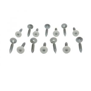 Kit de 50 vis 48 x 38 mm tork laqu&eacute;es pour bardage HPL - L: 38 mm - Cr&egrave;me