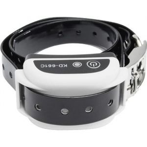 Cl&ocirc;ture Anti Fugue &Eacute;lectrique Sans Fil pour Chien Collier WiFi Syst&egrave;me 500meters