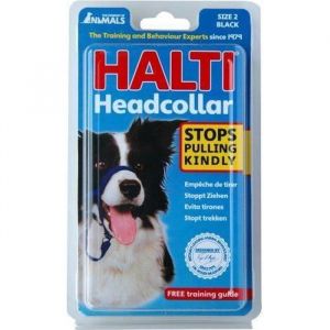 Halti Licol Educatif Anti-Traction Dressage pour Chien Taille 2 Noir