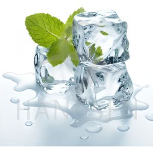 E-liquide  goût menthe super glaciale  10ml 6mg