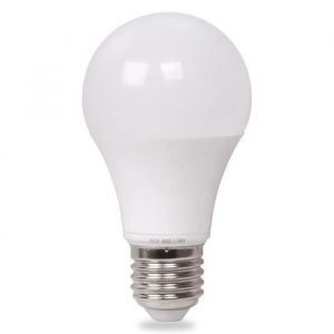 Ampoule LED - TD&reg; - E27 60W - Blanc chaud - 30000 heures - Int&eacute;rieur
