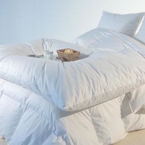 Édredon gonflant - CASTEX COUETTES NATURELLES - Blanc 140x160 cm - 90% duvet neuf - Percale de coton