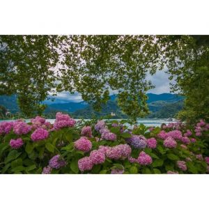 Papier Peint Photo INTISS&Eacute;-(184368)-JARDIN DE FLEURS-350x260cm-7 l&eacute;s-Mural Poster G&eacute;ant XXL-Mer Beach Mer Oc&eacute;an Nature Jungle For&ecirc;t