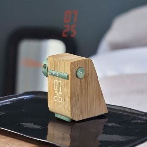 Radio R&eacute;veil Num&eacute;rique - Nature & D&eacute;couvertes - Bambou - Chants dOiseaux - Projection Heure