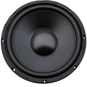 Fenton WPP25 Haut-parleur de graves - Cône 10 pouces (25 cm) 250 Watts max Suspension caoutchouc Bobine résistante à la chaleur
