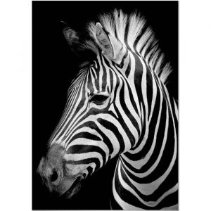 Tableau Panorama Zèbre 50x70 cm - Imprimée sur Toile - Tableau Animaux