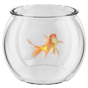 Aquarium de Bureau Bol À Poissons Transparent Petit Aquarium en Verre Vase à Poissons Bocal À Poissons pour Table À Table Affichage