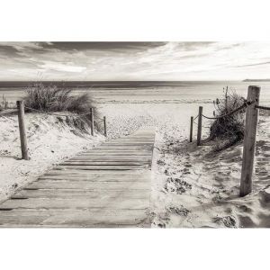 Papier Peint Photo INTISSÉ-(2024V8T)- PLAGE-368x254cm-4 lés-Mural Poster Géant XXL-Mer Beach Mer Océan Nature Jungle Forêt