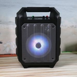 Enceinte Amplifi&eacute;e Sans Fil Autonome Omega Wireless LED RGB Bluetooth Micro SD / Karaoke 20 Watts