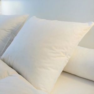 Oreiller Plumes Castex - 60x60cm