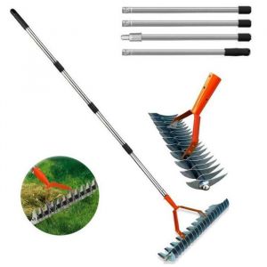 Rateau Scarificateur Scarificateur Gazon Manuel avec Manche 170cmPeigne &agrave; Gazon Polyvalent pour D&eacute;sherber Fertiliser Lawn