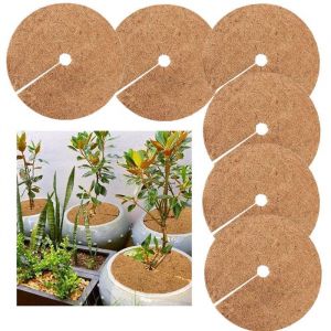6 Pièces Disque de PaillageProtection dhiver pour Plantes en PotPlantes Protection Tapis20cm