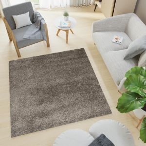 TAPISO Tapis Salon Shaggy Carr&eacute; Poil Long ESSENCE Gris Fonc&eacute; Uni Polypropyl&egrave;ne Int&eacute;rieur 200x200