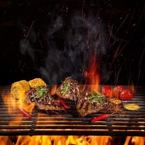 Grille de Cuisson en Fonte - AUFUN - Rectangulaire 54 x 34 cm - &Eacute;maill&eacute;e - Durable - Accessoire Barbecue