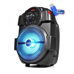 Enceinte portable 65/16cm - 180W avec USB/BLUETOOTH/FM - Party Light & Sound HANDY180+cl&eacute; USB 32Go