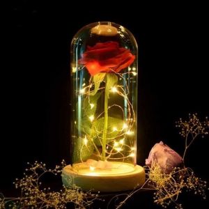 La rose eternelle et lumière ledRose Eternelle sous ClocheCadeaux de vacancesCloche et Rose Fleur ArtificielleGuirlande Lumineu