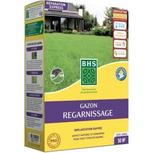Semence de gazon - BHS -  Gazon Regarnissage 1kg