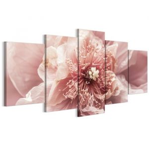 Tableau Decoration Murale - LUMASOUL - 2-2-3-0-2-2-11-5 - &Eacute;clectique Motif - 5 parties - Rose - 100x50 cm