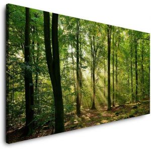 TOILE TABLEAU-GARDIEN DE LA FOR&Ecirc;T-(PP363)-CANVAS-Lin-Photo-Art Beaux-Vert Arbres Lumi&egrave;re Paysage Jardin