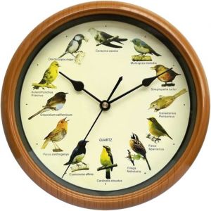 Horloge Murale &agrave; Oiseaux avec 12 Oiseaux Chanteurs Indig&egrave;nes Horloge Chant doiseau pour Cuisine Salon Chambre 254x4.5x254 cm