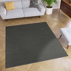 TAPISO Tapis de Salon Chambre Carr&eacute; MONO Gris Fonc&eacute; Design Uni R&eacute;sistant Int&eacute;rieur Ext&eacute;rieur 120x120 cm