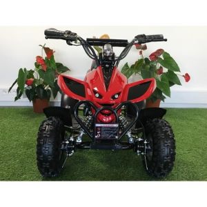 Pocket Quad électrique pour enfant 36V 800W Rouge
