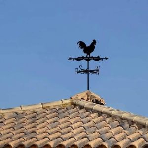 Girouette Coq Champignon Ornement Girouettes M&eacute;tal Girouette Vent Outil de Mesure Noir pour Jardin Cour Toit Ferme Ext&eacute;rieur