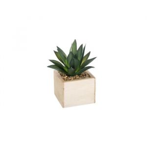 Plante artificielle - AC-D&Eacute;CO - Mod&egrave;le al&eacute;atoire - H 14 cm - Pot carr&eacute; - D&eacute;coration int&eacute;rieure
