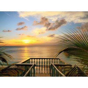 Papier Peint Photo INTISSÉ-(358T4)-VUE TERRASSE-400x260cm-8 lés-Mural Poster Géant XXL-Mer Beach Mer Océan Nature Jungle Forêt