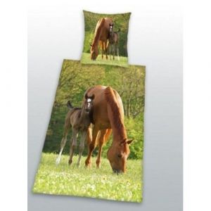 CHEVAL - Parure housse de couette + taie poulain