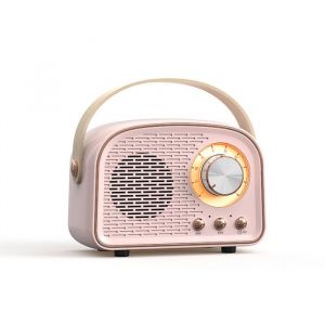 Mini Haut-parleur Bluetooth R&eacute;tro Portable avec Radio FM Petit Haut-parleur Bluetooth St&eacute;r&eacute;o Sans Fil pour iPhone Android - Rose