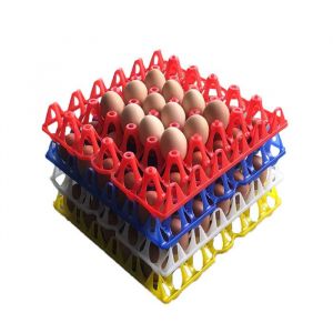 x plateaux à œufs en plastique pour 30 porte-œufs couleur aléatoire