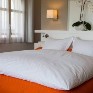 Édredon gonflant - CASTEX COUETTES NATURELLES - Blanc - Jacquard - 160x170 cm - 90% duvet neuf
