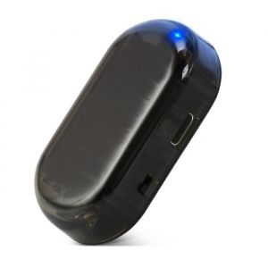 Pare-soleil Faux feu de sécurité pour voiture simulation à énergie solaire alarme factice sans fil - Type Bleu