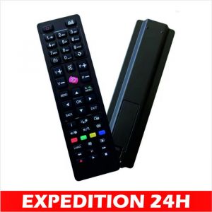 Télécommande Universelle pour remplacer Facilement Les télécommandes de Tucson Hyundai AYA Technika FINLUX Digihome Telefunke