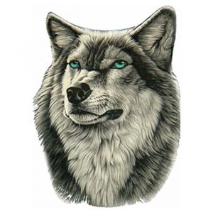 Lot de 4 autocollants loup personnaliss pour voiture stickers pour capot tuning SUV et camion Odipie