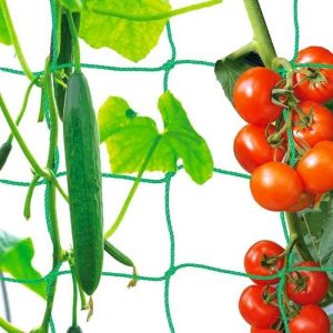 Treillis Jardin Filet pour Plantes Grimpantes Filets pour Jardin Filet à Ramer pour Récolte de Concombres Légume Tomates (2*5m)