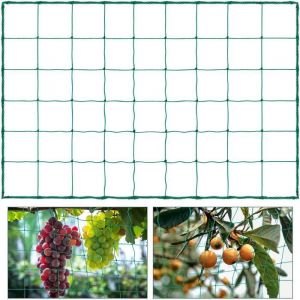 Filet à Plantes GrimpantesFilet de JardinFilet dEscalade pour Plantes18 x 36m Filet de TreillisFilet à Ramer HaricotsTreil [58]