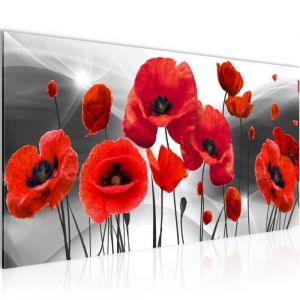 Tableau D&eacute;coration Murale 100x40 cm Runa art 208912c Fleurs de Coquelicots - 1 Panneau Deco Toile Pr&ecirc;t &agrave; Accrocher - Rouge