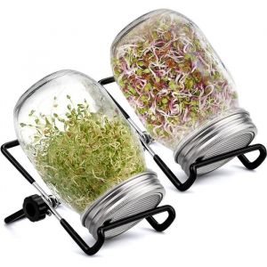 Germoir - Bocal &agrave; Germes 450 ML - Verre Transparent - Couvercle Acier Inoxydable - Cylindrique