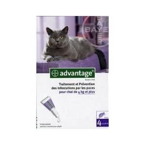 advantage chat par 6 pipettes neuves