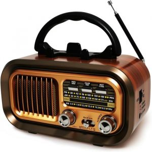 Poste Radio Portable - HOME FIT TRAINING - AM/FM/SW - Bluetooth 5.0 - R&eacute;tro - Compacte