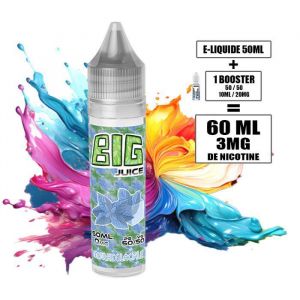 E-LIQUIDE 60ML dosé en 3MG de nicotine - AROME : MENTHE GLACIALE - BIG JUICE