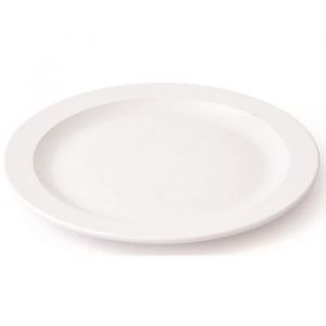 LOT DE 10 ASSIETTES PLATES MELAMINE BLANC Ø225 x H20 mm