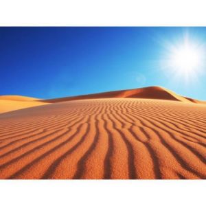 Papier Peint Photo INTISS&Eacute;-(318V) -DUNE du D&Eacute;SERT-350x260cm-7 l&eacute;s-Mural Poster G&eacute;ant XXL-Mer Beach Mer Oc&eacute;an Nature Jungle For&ecirc;t